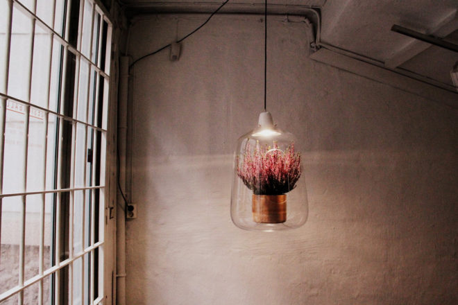 Lightovo, Milo, Milo by Lightovo, Milo Baby, Milo Baby by Lightovo, planter lamp, planter, plants, plant, nature, flowers, flower, succulents, succulent, herbs, herb, LED, LED light, sunlight, sunshine, product design