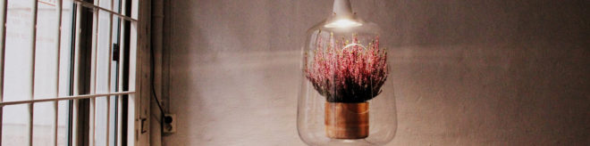 Lightovo, Milo, Milo by Lightovo, Milo Baby, Milo Baby by Lightovo, planter lamp, planter, plants, plant, nature, flowers, flower, succulents, succulent, herbs, herb, LED, LED light, sunlight, sunshine, product design