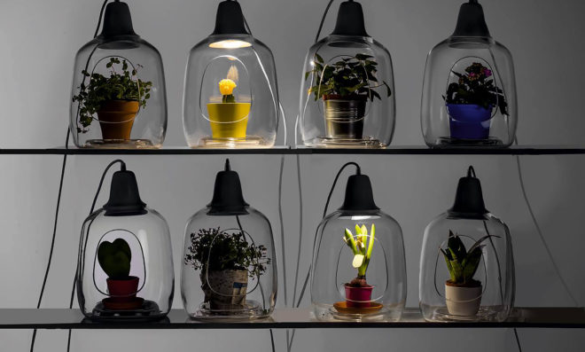 Lightovo, Milo, Milo by Lightovo, Milo Baby, Milo Baby by Lightovo, planter lamp, planter, plants, plant, nature, flowers, flower, succulents, succulent, herbs, herb, LED, LED light, sunlight, sunshine, product design