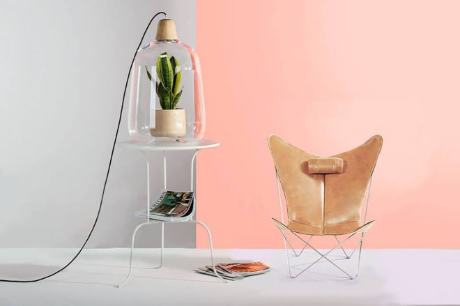 Lightovo, Milo, Milo by Lightovo, Milo Baby, Milo Baby by Lightovo, planter lamp, planter, plants, plant, nature, flowers, flower, succulents, succulent, herbs, herb, LED, LED light, sunlight, sunshine, product design
