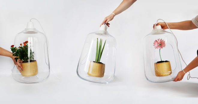 Lightovo, Milo, Milo by Lightovo, Milo Baby, Milo Baby by Lightovo, planter lamp, planter, plants, plant, nature, flowers, flower, succulents, succulent, herbs, herb, LED, LED light, sunlight, sunshine, product design
