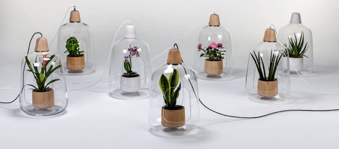 Lightovo, Milo, Milo by Lightovo, Milo Baby, Milo Baby by Lightovo, planter lamp, planter, plants, plant, nature, flowers, flower, succulents, succulent, herbs, herb, LED, LED light, sunlight, sunshine, product design