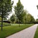 GM Architectes Associés, meditation pavilion, Geneva, Architizer, Meditation Pavilion and Garden, green architecture, ash wood, natural light, Switzerland, skylights