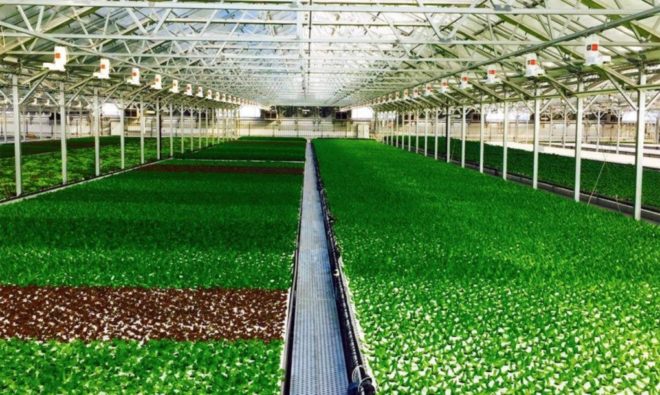 Method factory, rooftop farming, greenhouse farming, Bill mcdonough, urban farming, agriculture, cradle to cradle, agro-urbanism, design, urban agriculture, farming