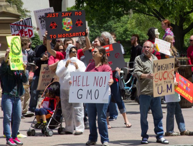 bayer, monsanto, roundup, glyphosate, gmo labeling, gmo, bernie sanders, u.s. department of justice, monopoly, agribusiness, seeds, pesticides, cancer, carcinogen, world health organization
