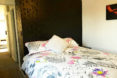 Park Homes, Papa #1, Papa #1 by Park Homes, New Zealand, small home, small homes, small house, small houses, starter home, starter homes, starter house, starter houses, passive design, passive home, passive house, earthquake resilient, earthquake resilient home, earthquake resilient house, bedroom