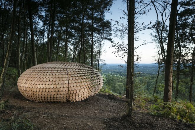 Perspectives by Giles Miller Studio, Perspectives Pavilion in Surrey Hills, pavilion project by Surrey Hills Arts, Winterfold Forest pavilion, cedar shingle pavilion,