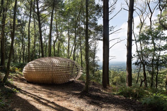 Perspectives by Giles Miller Studio, Perspectives Pavilion in Surrey Hills, pavilion project by Surrey Hills Arts, Winterfold Forest pavilion, cedar shingle pavilion,