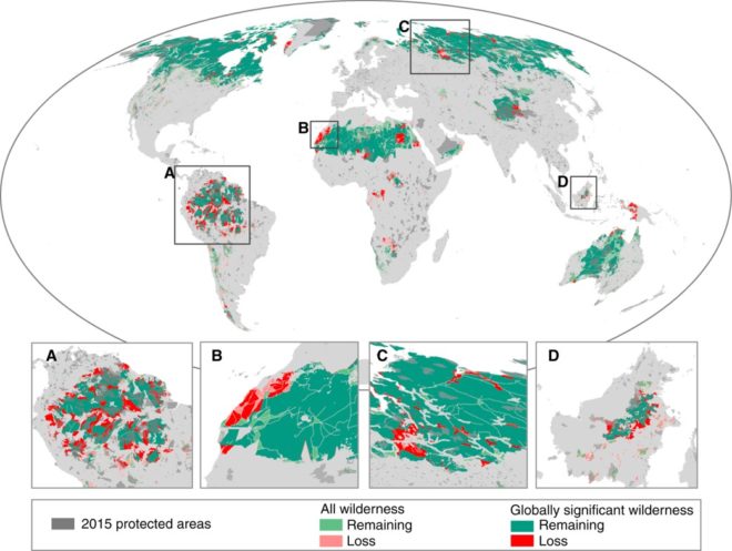wilderness, forests, climate change, ecosystems, species, biodiversity