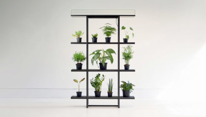 london design festival, london design, pikaplant, pikaplant jar, self-watering plant, biomimicry, house plants, indoor plants, indoor garden, vertical garden