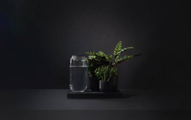 london design festival, london design, pikaplant, pikaplant jar, self-watering plant, biomimicry, house plants, indoor plants, indoor garden, vertical garden