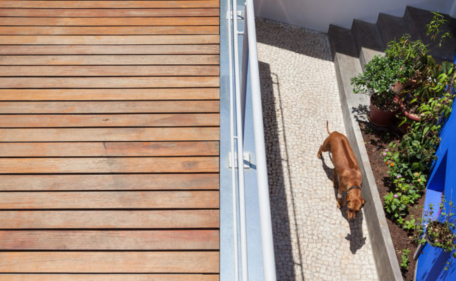 CCF house, GOAA architects, green renovation, Sao Paulo, wooden house, Brazil, rainwater harvesting, rooftop terrace, green architecture