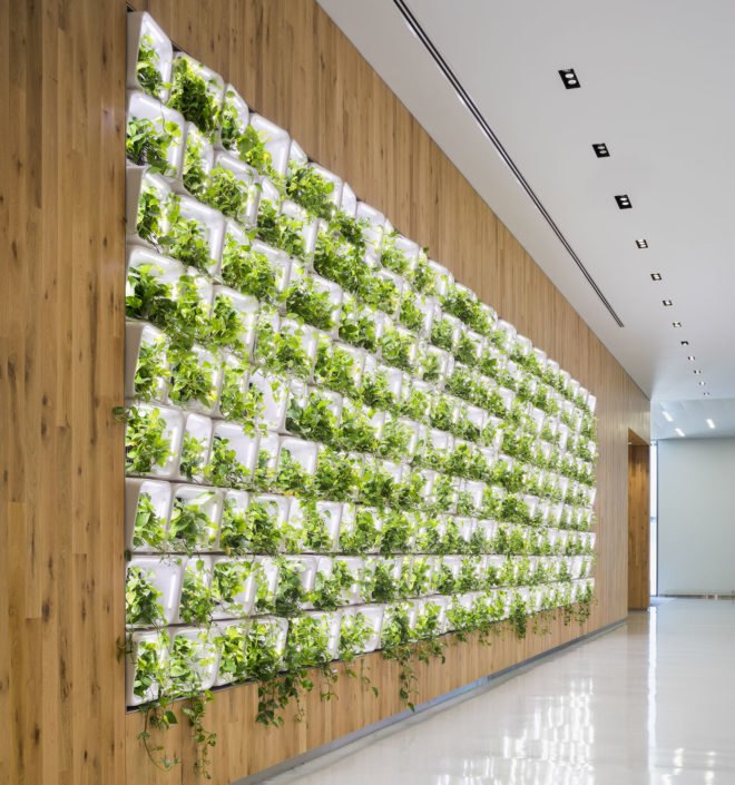 Living wall, nyc emergency center, SOM architects, Active Modular Phytoremediation System, Public Safety Answering Center, Bronx, Bronx living wall, Bronx emergency call center, CASE researchers, amps systems, nyc living walls, green walls nyc, green wall design, urban design,