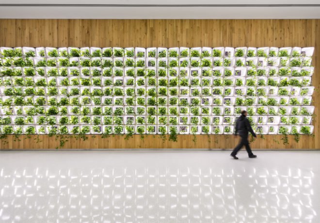 Living wall, nyc emergency center, SOM architects, Active Modular Phytoremediation System, Public Safety Answering Center, Bronx, Bronx living wall, Bronx emergency call center, CASE researchers, amps systems, nyc living walls, green walls nyc, green wall design, urban design,