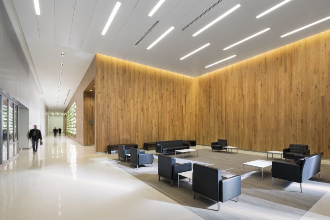 Living wall, nyc emergency center, SOM architects, Active Modular Phytoremediation System, Public Safety Answering Center, Bronx, Bronx living wall, Bronx emergency call center, CASE researchers, amps systems, nyc living walls, green walls nyc, green wall design, urban design,