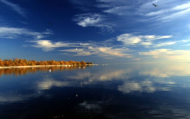 california, salton sea, earthquake, earthquake swarm, magnitude 4.3, san andreas fault