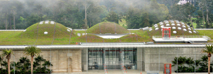 San Francisco, San Francisco green roofs, San Francisco living roofs, Scott Wiener, Green Roofs for Healthy Cities, rooftop solar San Francisco, San Francisco require rooftop solar, green city, sustainable city