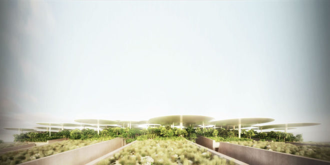 Science City International, Egypt, Weston Williamson+Partners, Bibliotheca Alexandrina, architecture competition, cultural center, conference center, planetarium, observation tower, museum, interactive exhibition