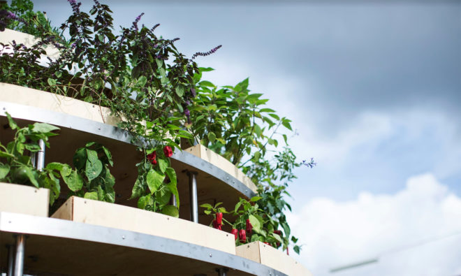 Space 10, Mads-Ulrik Husum, Sine Lindholm, Growroom, Space10 Growroom, urban gardening, urban farms, city farming, city gardening, Space10 urban farming, Space10 urban gardens, urban food growing