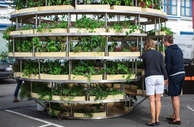 Space 10, Mads-Ulrik Husum, Sine Lindholm, Growroom, Space10 Growroom, urban gardening, urban farms, city farming, city gardening, Space10 urban farming, Space10 urban gardens, urban food growing