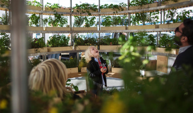 Space 10, Mads-Ulrik Husum, Sine Lindholm, Growroom, Space10 Growroom, urban gardening, urban farms, city farming, city gardening, Space10 urban farming, Space10 urban gardens, urban food growing