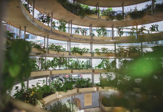 Space 10, Mads-Ulrik Husum, Sine Lindholm, Growroom, Space10 Growroom, urban gardening, urban farms, city farming, city gardening, Space10 urban farming, Space10 urban gardens, urban food growing