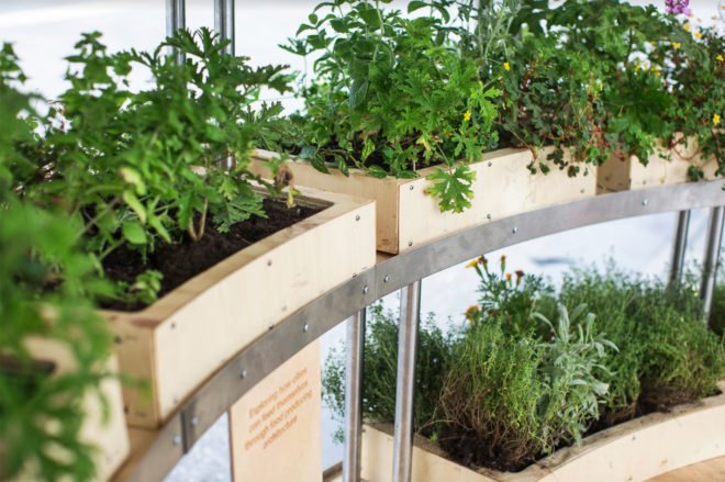 Space 10, Mads-Ulrik Husum, Sine Lindholm, Growroom, Space10 Growroom, urban gardening, urban farms, city farming, city gardening, Space10 urban farming, Space10 urban gardens, urban food growing