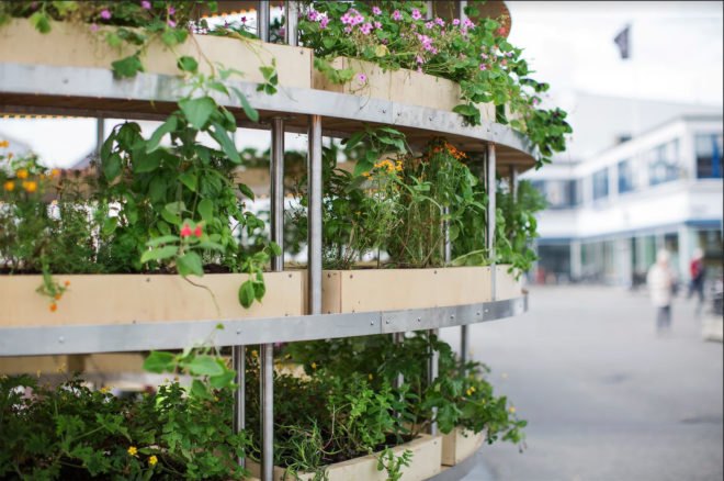 Space 10, Mads-Ulrik Husum, Sine Lindholm, Growroom, Space10 Growroom, urban gardening, urban farms, city farming, city gardening, Space10 urban farming, Space10 urban gardens, urban food growing