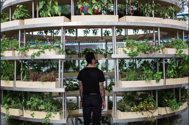 Space 10, Mads-Ulrik Husum, Sine Lindholm, Growroom, Space10 Growroom, urban gardening, urban farms, city farming, city gardening, Space10 urban farming, Space10 urban gardens, urban food growing