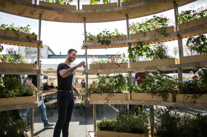 Space 10, Mads-Ulrik Husum, Sine Lindholm, Growroom, Space10 Growroom, urban gardening, urban farms, city farming, city gardening, Space10 urban farming, Space10 urban gardens, urban food growing