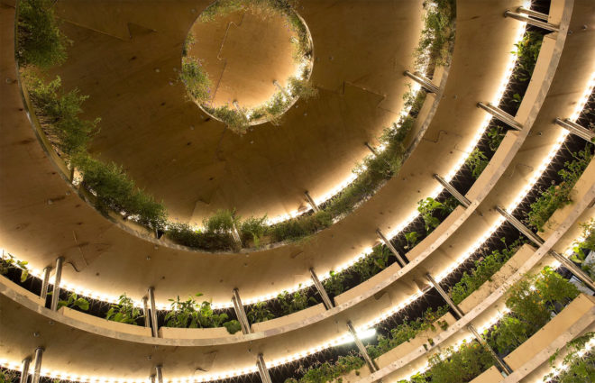 Space 10, Mads-Ulrik Husum, Sine Lindholm, Growroom, Space10 Growroom, urban gardening, urban farms, city farming, city gardening, Space10 urban farming, Space10 urban gardens, urban food growing