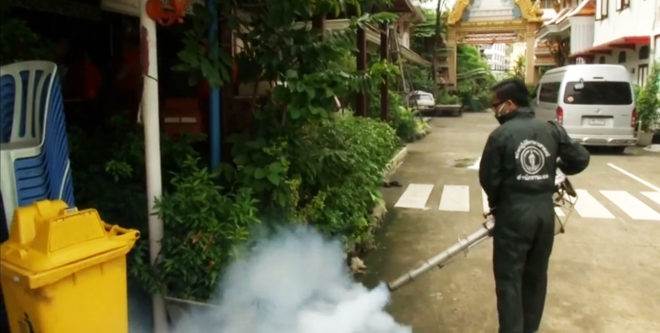 Thailand, Southeast Asia, Zika, Zika virus, mosquito, mosquitoes, microcephaly, birth defect, birth defects, World Health Organization, WHO