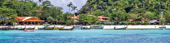 Zika virus, Zika virus microcephaly, Zika microcephaly, microcephaly, Thailand Zika, Thailand microcephaly, Thailand Zika virus microcephaly, Southeast Asia Zika, Southeast Asia microcephaly, Southeast Asia Zika virus microcephaly, microcephaly linked to Zika virus