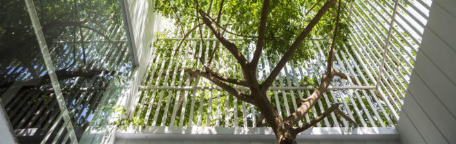 Symbiosis office building, Cong Sinh Architects, green office space, Vietnam, green renovation, green architecture, urbanization, green spaces, trellis design, natural light