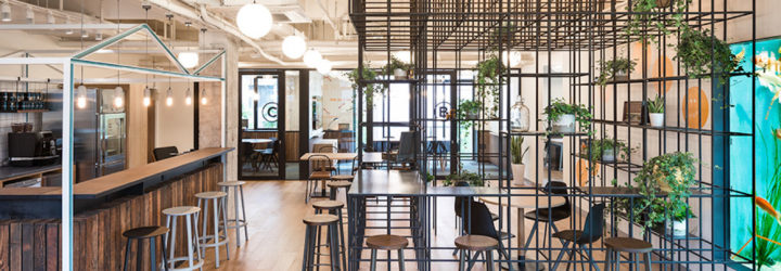 WeWork Yanping Lu by Linehouse, WeWork in Shanghai, WeWork Yanping Lu, WeWork Hunter Gatherer, coworking space in Shanghai, longtang modern architecture,