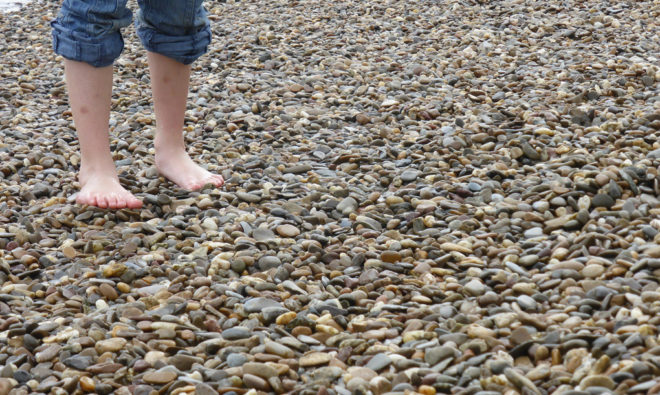 Bill mcdonough, urban farming, agriculture, cradle to cradle, agro-urbanism, urban agriculture, farming, landscape design, barefoot, soil, soil health, sand, barefoot at the beach, barefoot childhood
