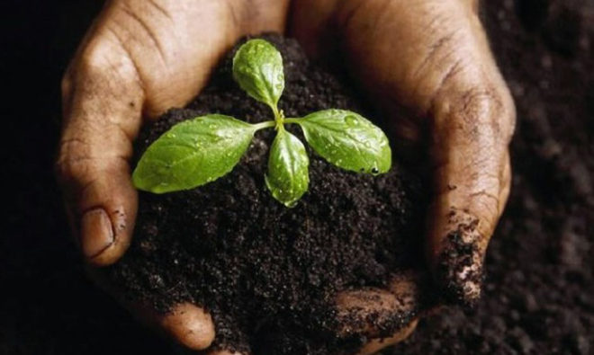 Soil, soil health, Bill mcdonough, urban farming, agriculture, cradle to cradle, agro-urbanism, design, Danish design, urban agriculture, farming, dirt