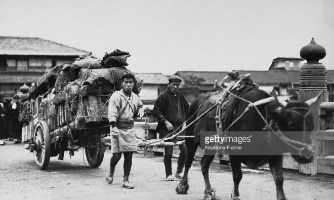Bill mcdonough, urban farming, agriculture, cradle to cradle, agro-urbanism, design, urban agriculture, farming, Ox cart, japan, Japanese ox cart, sewage disposal, manure, fertilizer, composting
