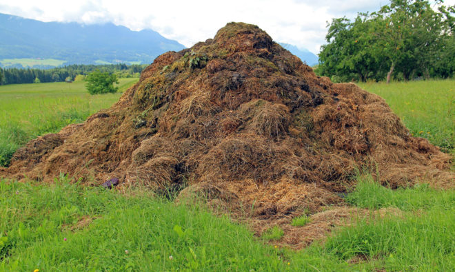 Manure, horse manure, cow manure, farming, fertilizer, composting, Bill mcdonough, urban farming, agriculture, cradle to cradle, agro-urbanism, design, urban agriculture, farming,
