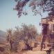 bohemian, boho, wooden house, tiny house, house on wheels, spain, off the grid, off-grid houses