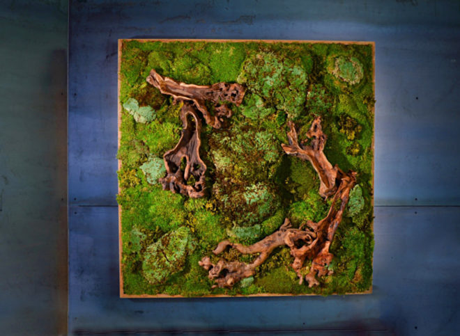 moss wall, living wall, moss art, indoor greenery, green design, green decor, moss decor, indoor moss, plant solutions, Joe Zazzera