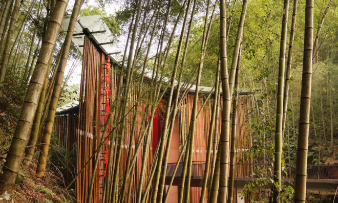 Zhuhai National Park, park gateway, China, bamboo, bamboo structure, Bamboo Sea, West-line studio, green architecture, concrete, glass roof, humidity