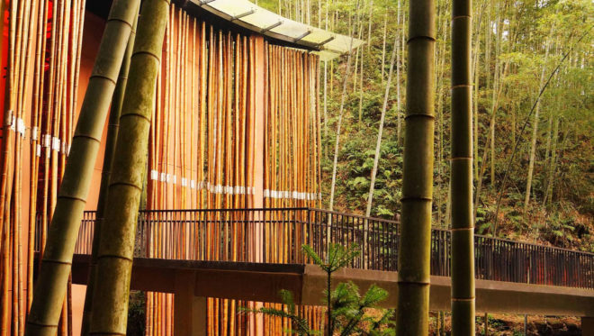 Zhuhai National Park, park gateway, China, bamboo, bamboo structure, Bamboo Sea, West-line studio, green architecture, concrete, glass roof, humidity