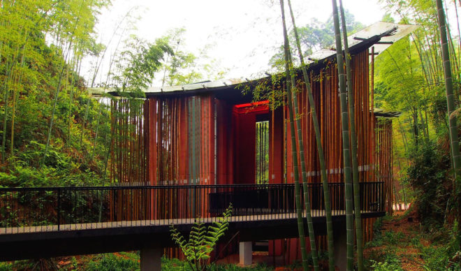 Zhuhai National Park, park gateway, China, bamboo, bamboo structure, Bamboo Sea, West-line studio, green architecture, concrete, glass roof, humidity