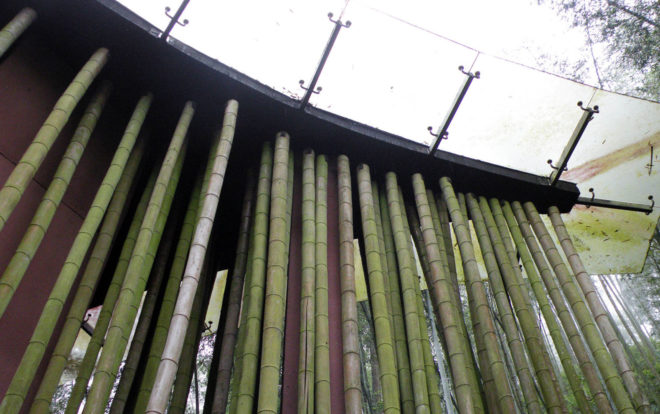 Zhuhai National Park, park gateway, China, bamboo, bamboo structure, Bamboo Sea, West-line studio, green architecture, concrete, glass roof, humidity