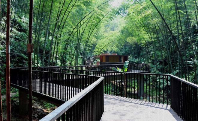 Zhuhai National Park, park gateway, China, bamboo, bamboo structure, Bamboo Sea, West-line studio, green architecture, concrete, glass roof, humidity
