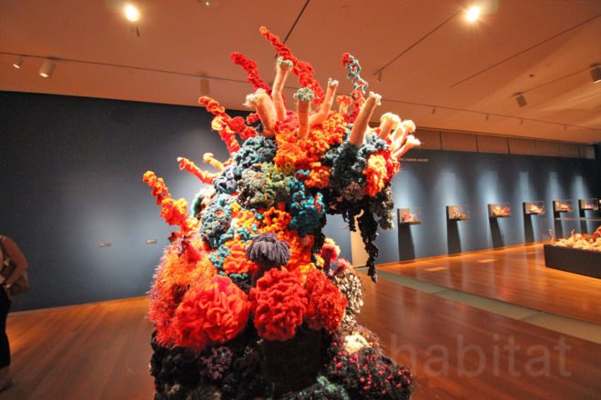 Crochet Coral Reef: TOXIC SEAS, crochet corals, Margaret Wertheim, Christine Wertheim, Museum of Arts and Design, ocean pollution, plastic pollution, plastic in oceans, dying corals, coral reefs, coral bleaching