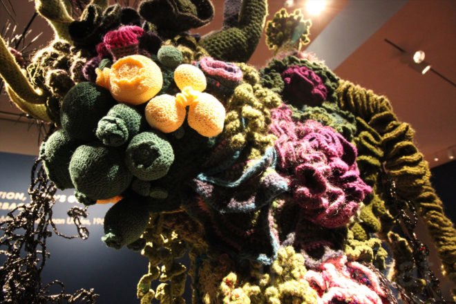 Crochet Coral Reef: TOXIC SEAS, crochet corals, Margaret Wertheim, Christine Wertheim, Museum of Arts and Design, ocean pollution, plastic pollution, plastic in oceans, dying corals, coral reefs, coral bleaching