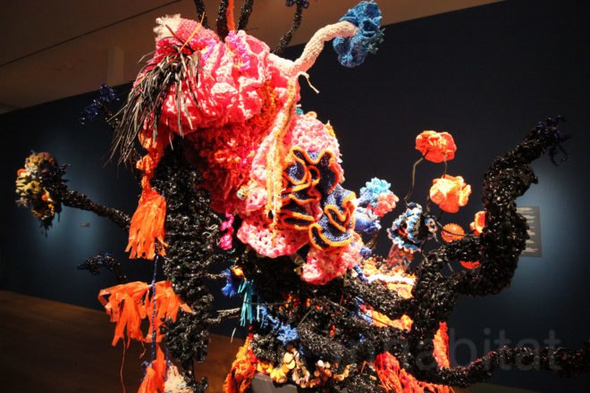 Crochet Coral Reef: TOXIC SEAS, crochet corals, Margaret Wertheim, Christine Wertheim, Museum of Arts and Design, ocean pollution, plastic pollution, plastic in oceans, dying corals, coral reefs, coral bleaching