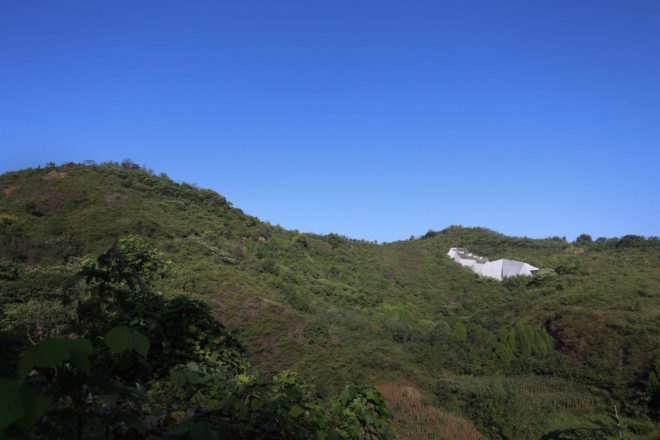 dinosaur egg museum in china, dinosaur egg museum, Dinosaur Egg Museum in Hubei, Hubei architecture museum, China museum architecture, dinosaur eggs in China